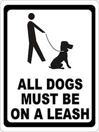Sandgate VT Leash Law